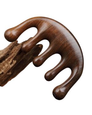Peigne 5 doigts en bois naturel